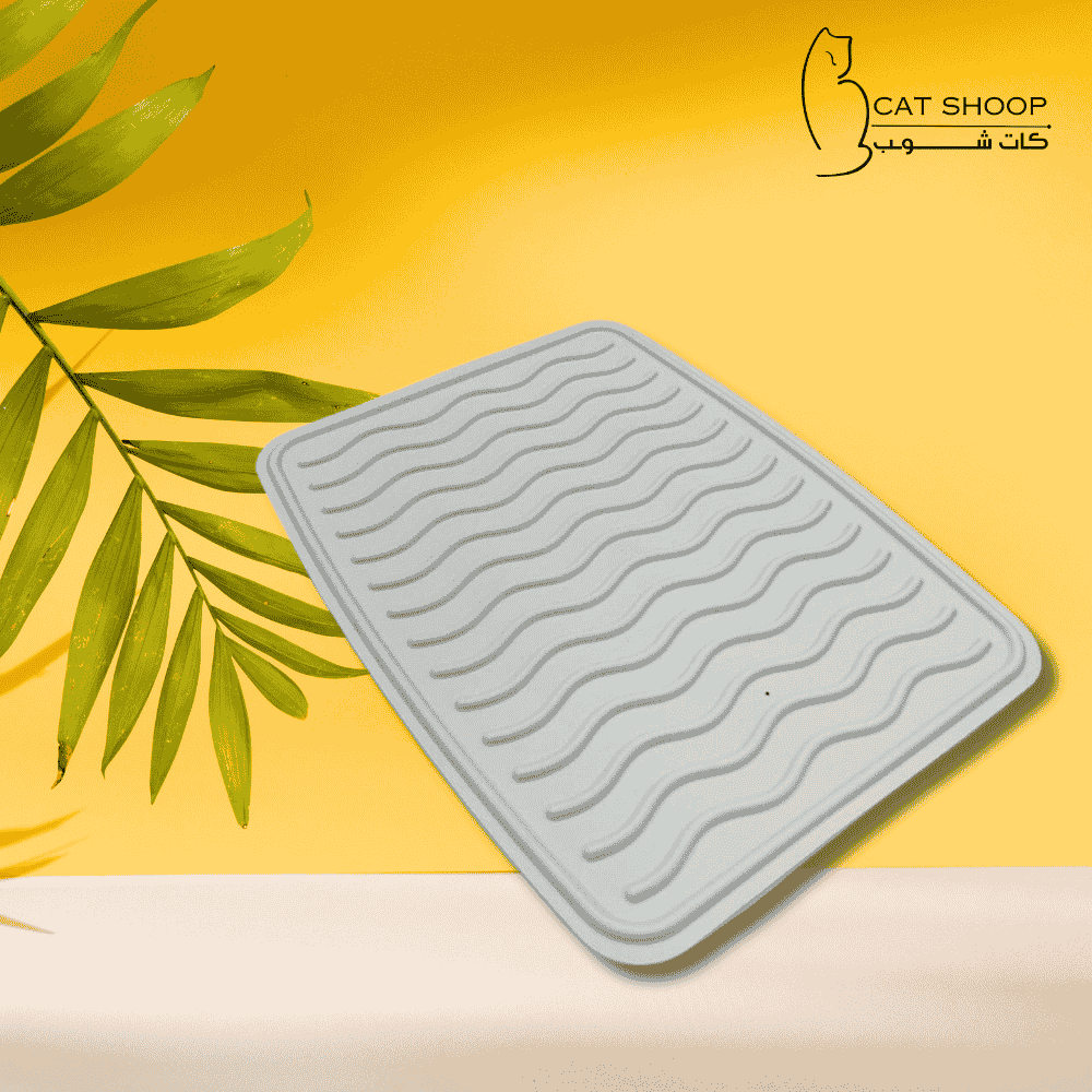 دعاسة صغيرة للكيتن