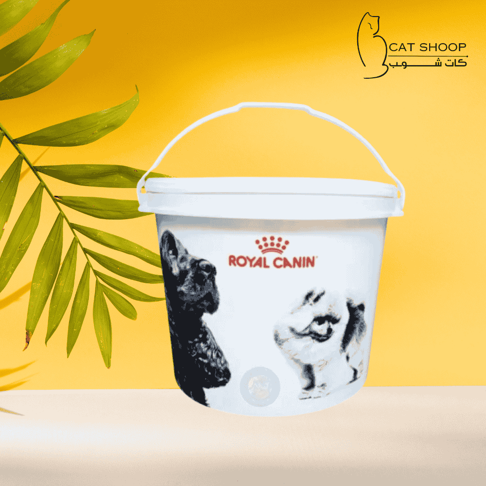 حافظة طعام جاف من رويال كانن - كات شوب