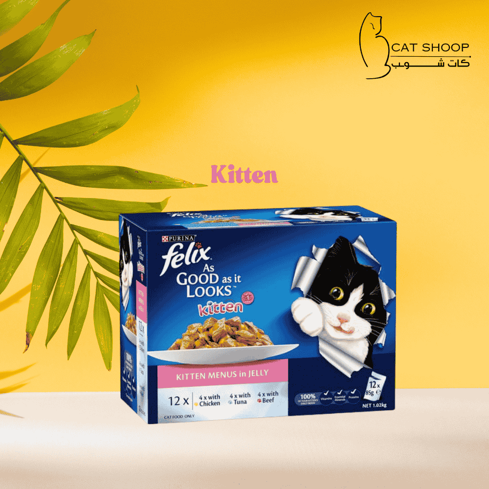 بورينا فيليكس قوائم كتين في جيلي 12 حبة 85 جرام